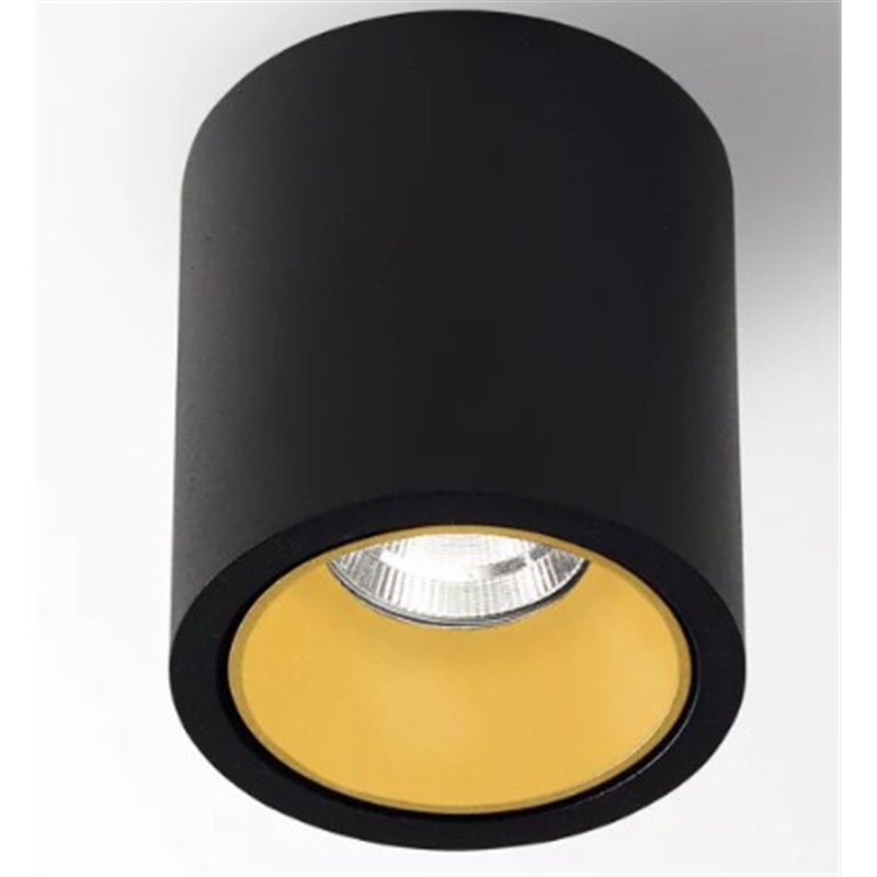 Delta Light R HE Plafondlamp