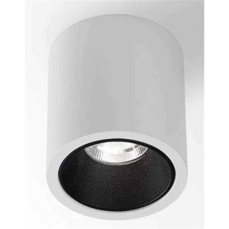 Delta Light R HE Plafondlamp
