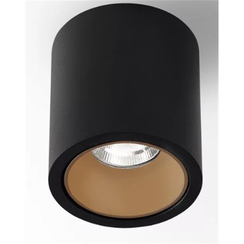 Delta Light R HE Plafondlamp