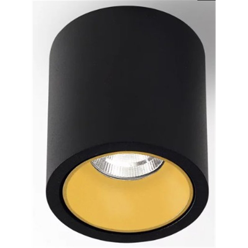 Delta Light R HE Plafondlamp