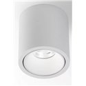 Delta Light R HE Plafondlamp