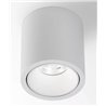 Delta Light R HE Ceiling lamp