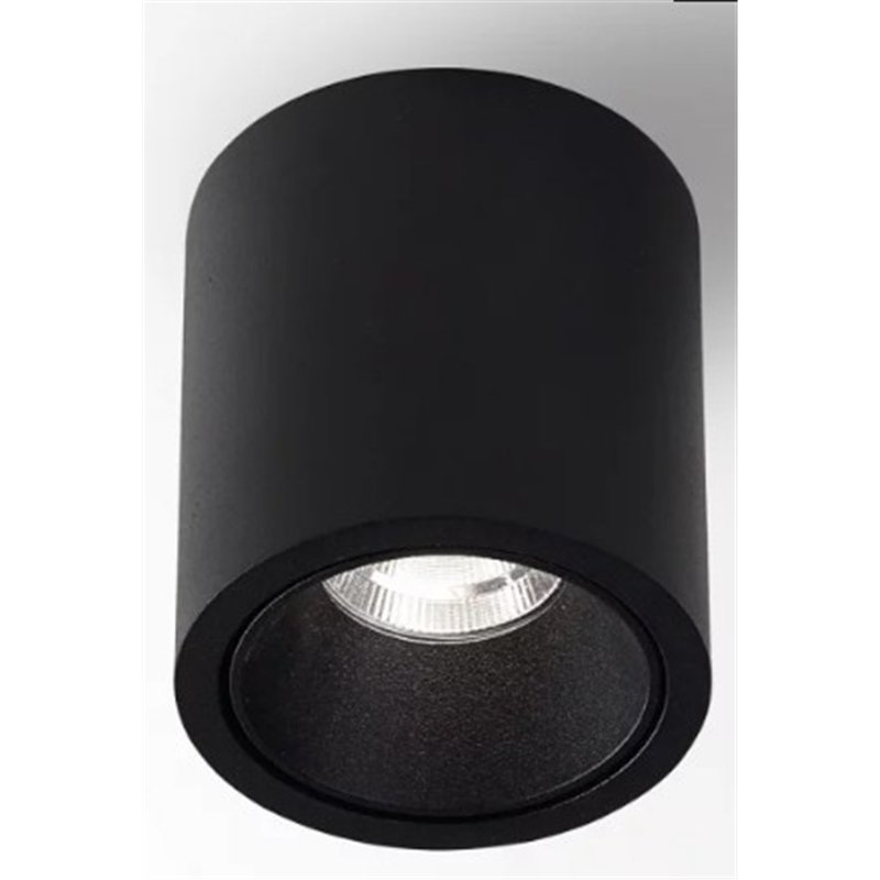 Delta Light R HE Plafondlamp