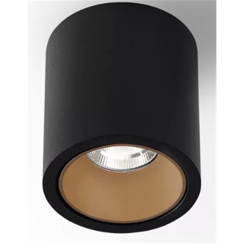 Delta Light R HE Plafondlamp