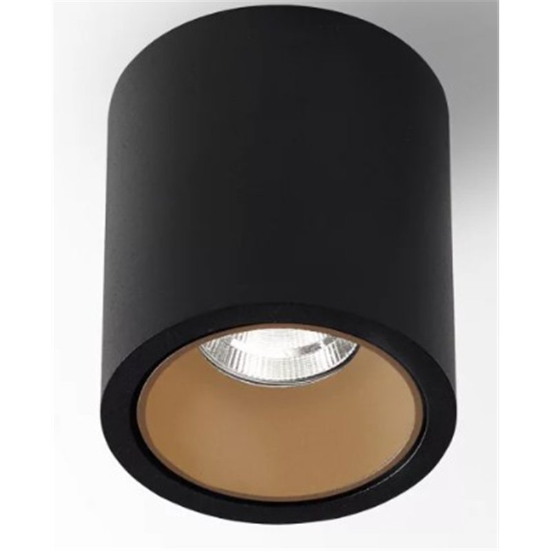 Delta Light R HE Plafondlamp