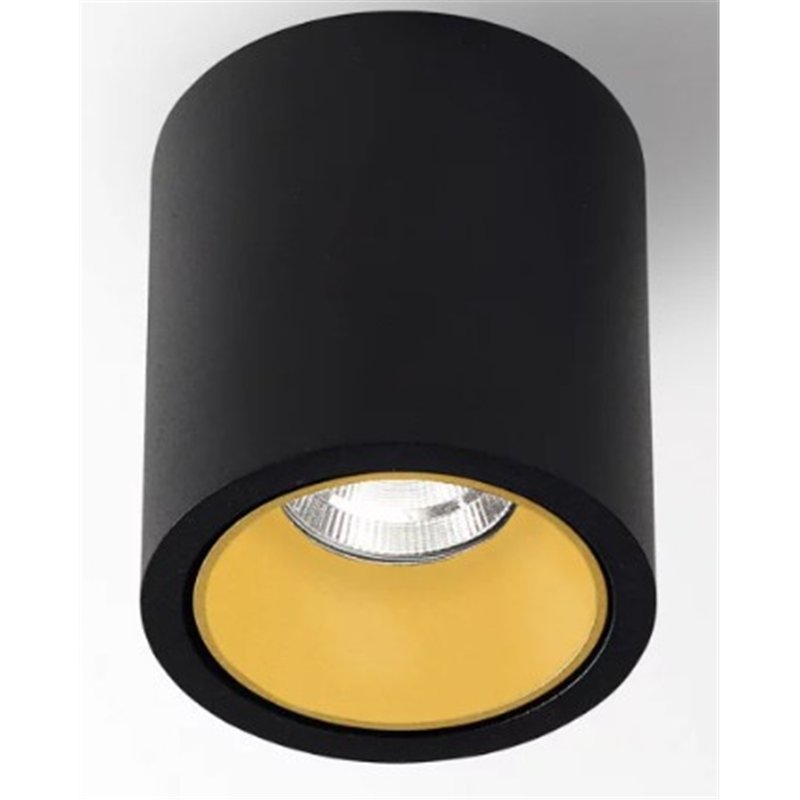 Delta Light R HE Plafondlamp