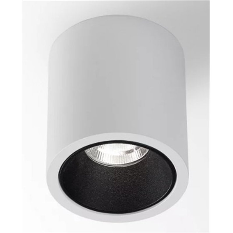 Delta Light R HE Plafondlamp
