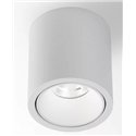 Delta Light R HE Plafondlamp