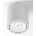 Delta Light R HE Plafondlamp