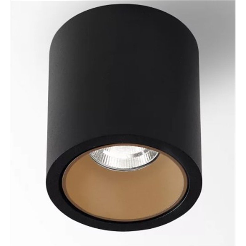 Delta Light R HE Plafondlamp