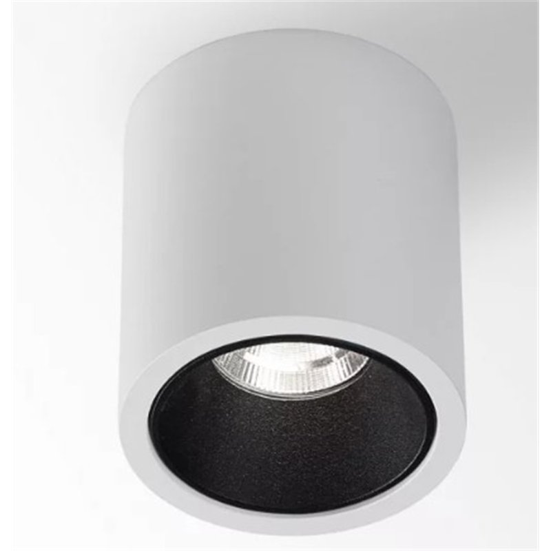 Delta Light R HE Plafondlamp