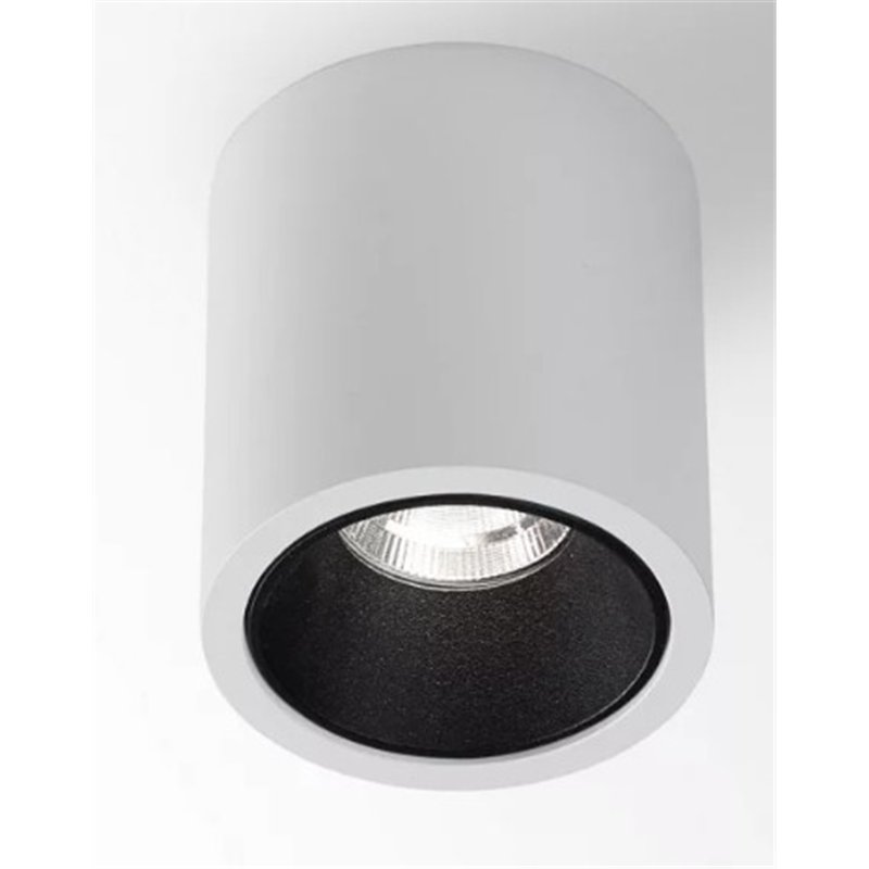 Delta Light R HE Plafondlamp