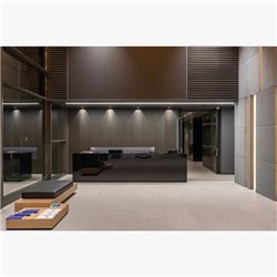 Delta Light CARREE TRIMLESS OK LED Recessed spot