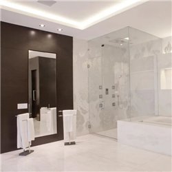 Delta Light Minigrid In Trimless 1 Hi Led recessed spot