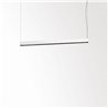 Delta Light CONFORM P14 PDS DOWN-UP Suspension lamp