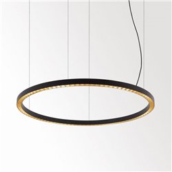 Delta Light INFORM R1 DOWN-UP Hanglamp