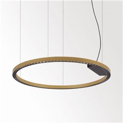 Delta Light INFORM R1+ DOWN-UP DIM5 Hanglamp