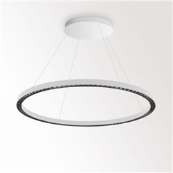 Delta Light INFORM R1+ CS DOWN DIM5 Suspension lamp