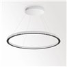 Delta Light INFORM R1+ CS DOWN DIM5 Suspension lamp