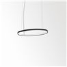 Delta Light SUPERLOOP HC SBL OVAL S Suspension lamp