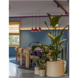 Delta Light Cuppa C suspension lamp
