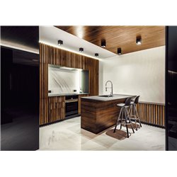 Wever & Ducré Box 1.0 PAR16 Ceiling lamp