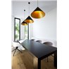 Wever & Ducré Dinor 2.0 Suspension lamp