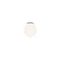 Wever & Ducré Dro 1.0 Plafondlamp