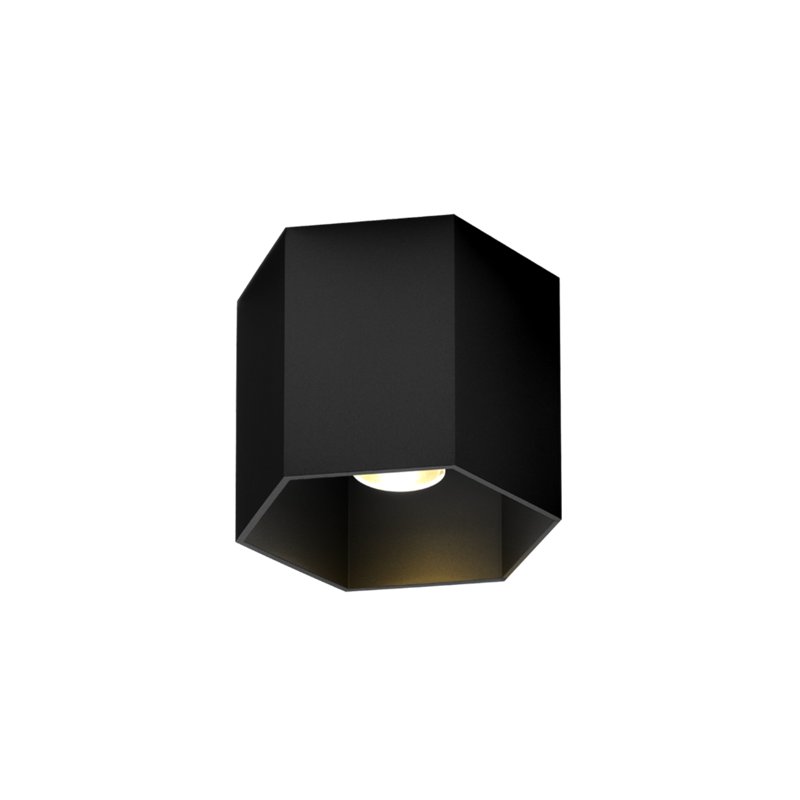 Wever & Ducré Hexo 1.0 PAR16 Plafondlamp