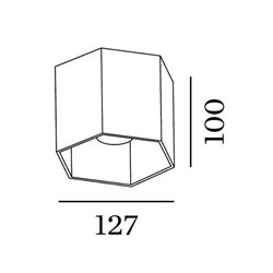 Wever & Ducré Hexo 1.0 PAR16 Ceiling lamp