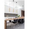 Wever & Ducré Hexo Suspended 3.0 PAR16 Suspension lamp