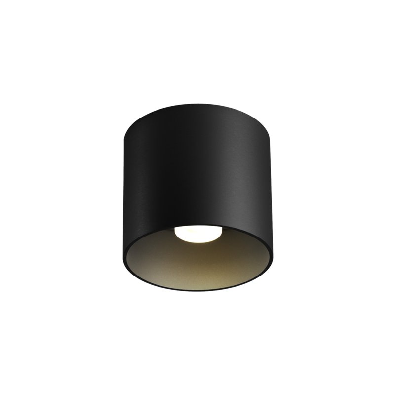 Wever & Ducré Ray 1.0 PAR16 Plafondlamp