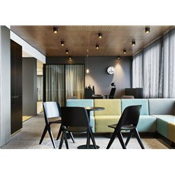 Wever & Ducré Ray 1.0 PAR16 Ceiling lamp