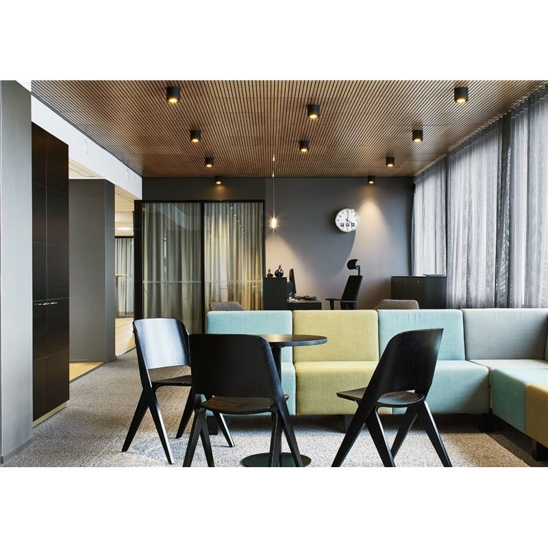Wever & Ducré Ray 1.0 PAR16 Plafondlamp