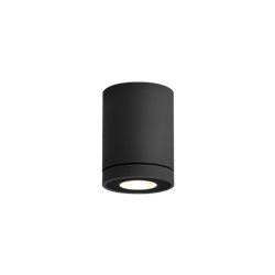 Wever & Ducré Tube 1.0 PAR16 Plafondlamp