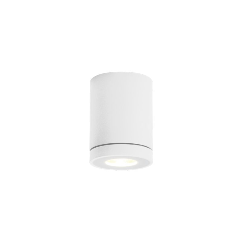 Wever & Ducré Tube 1.0 PAR16 Plafondlamp
