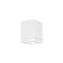 Wever & Ducré Tube Carré 1.0 LED Plafondlamp