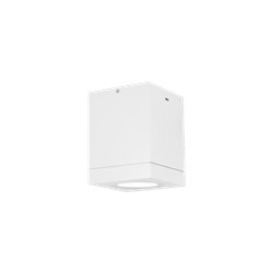 Wever & Ducré Tube Carré 1.0 PAR16 Ceiling lamp