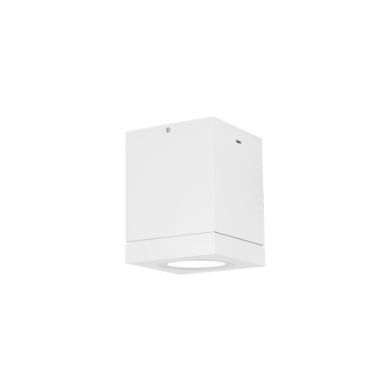 Wever & Ducré Tube Carré 1.0 PAR16 Plafondlamp