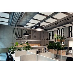 Wever & Ducré Roomor Cable 1.3 PAR16 Suspension lamp