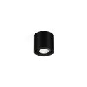 Wever & Ducré Ray Mini 1.0 PAR16 Plafondlamp