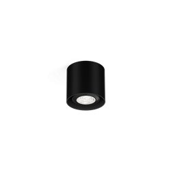 Wever & Ducré Ray Mini 1.0 PAR16 Ceiling lamp