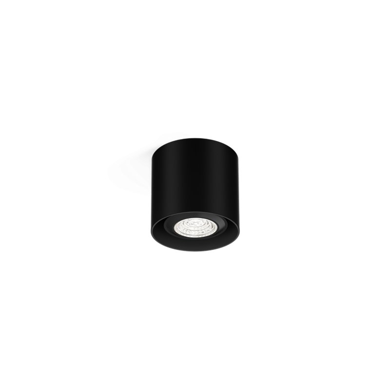 Wever & Ducré Ray Mini 1.0 PAR16 Plafondlamp