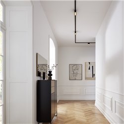 Wever & Ducré Pirro Spot On Track 2.0 Track lighting fixture