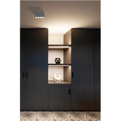 Wever & Ducré Pirro Spot Surface 4.0 Ceiling lamp