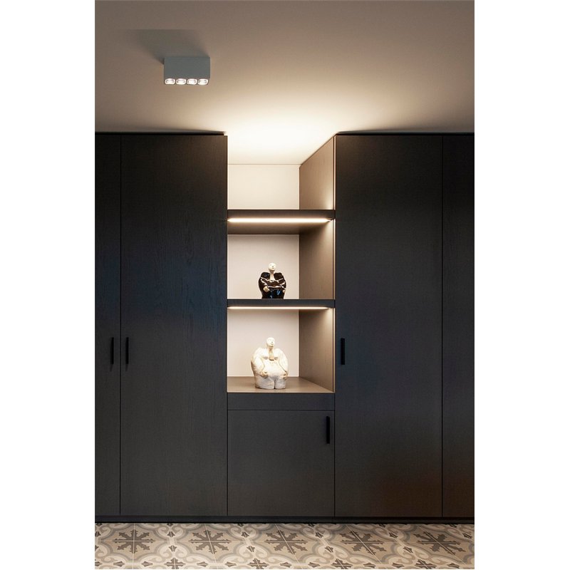 Wever & Ducré Pirro Spot Surface 4.0 Plafondlamp
