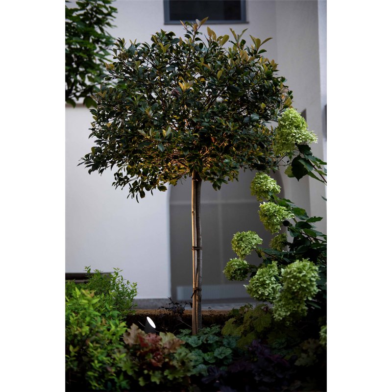 Wever & Ducré Stipo 2.0 Grondlamp
