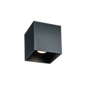 Wever & Ducré Box Outdoor 1.0 Plafondlamp