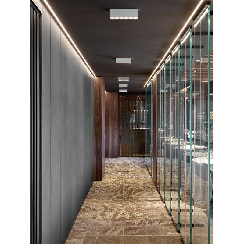 Wever & Ducré Pirro Petit Surface 12.0 Plafondlamp
