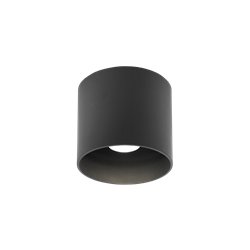 Wever & Ducré Ray Outdoor 1.0 Plafondlamp